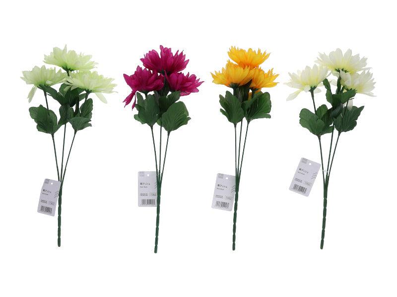 Chrysanthemum Bush