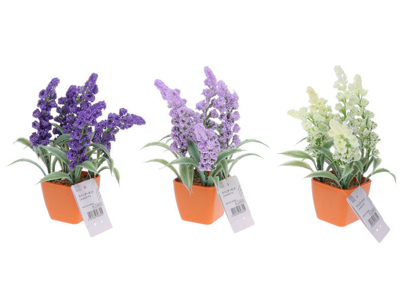 Lavender Pot