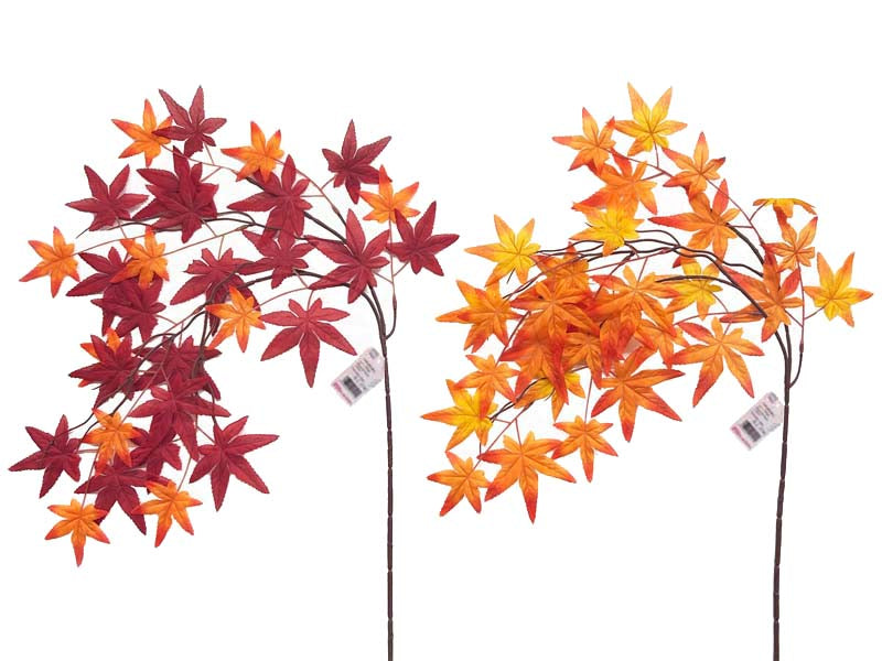Weeping Maple (Noble)