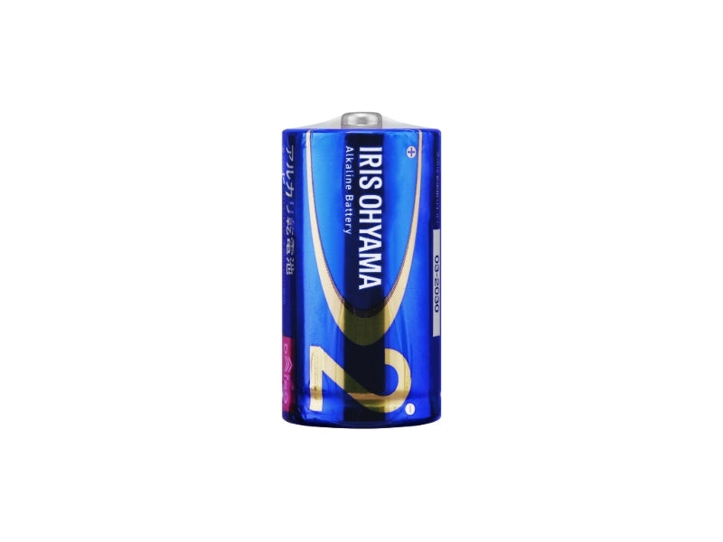 Alkaline Battery (D Cell, Single)