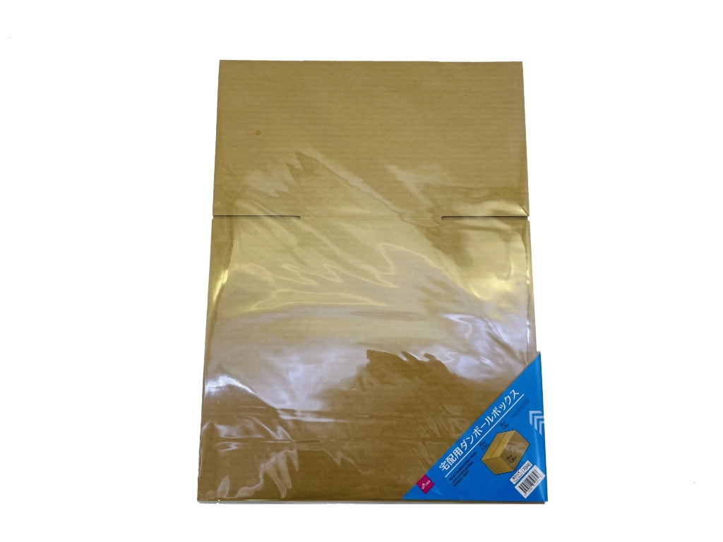 Delivery Cardboard Box (Craft)