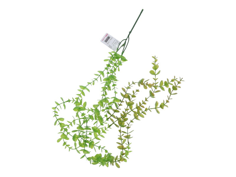 Green Leaf Vine