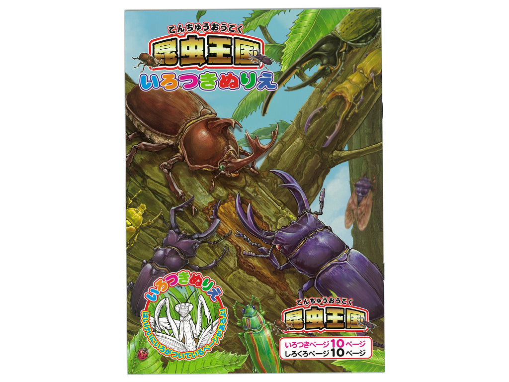 Colored Coloring Book - Insect Kingdom