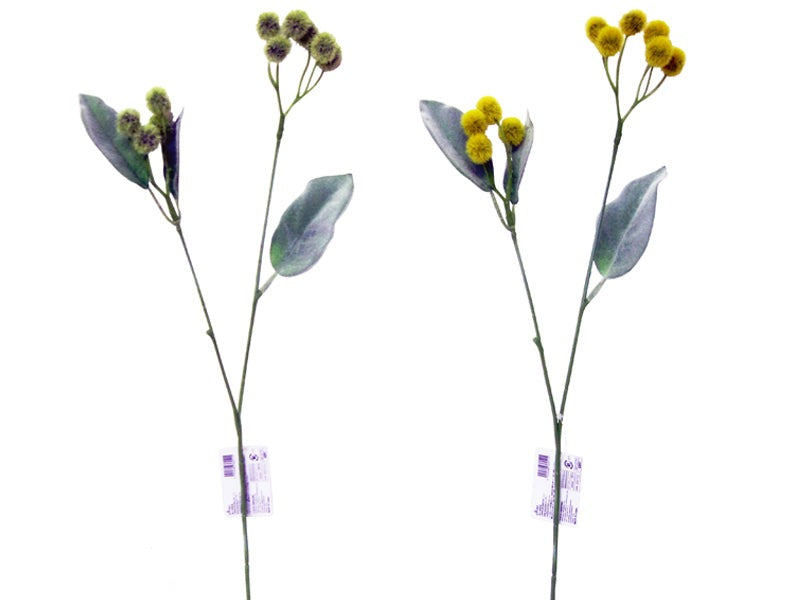 Pom Pom Berry Spray