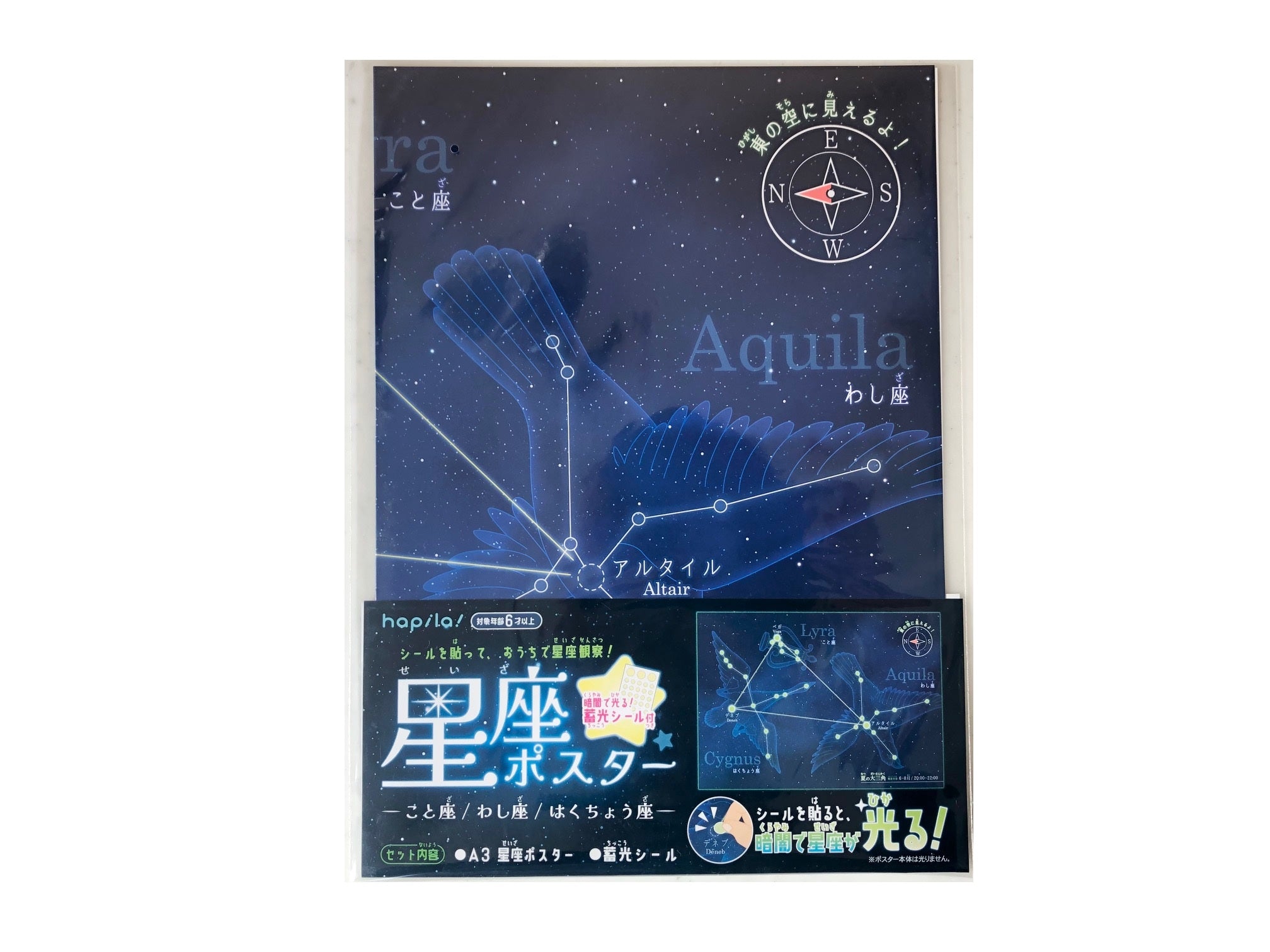 Constellation Poster