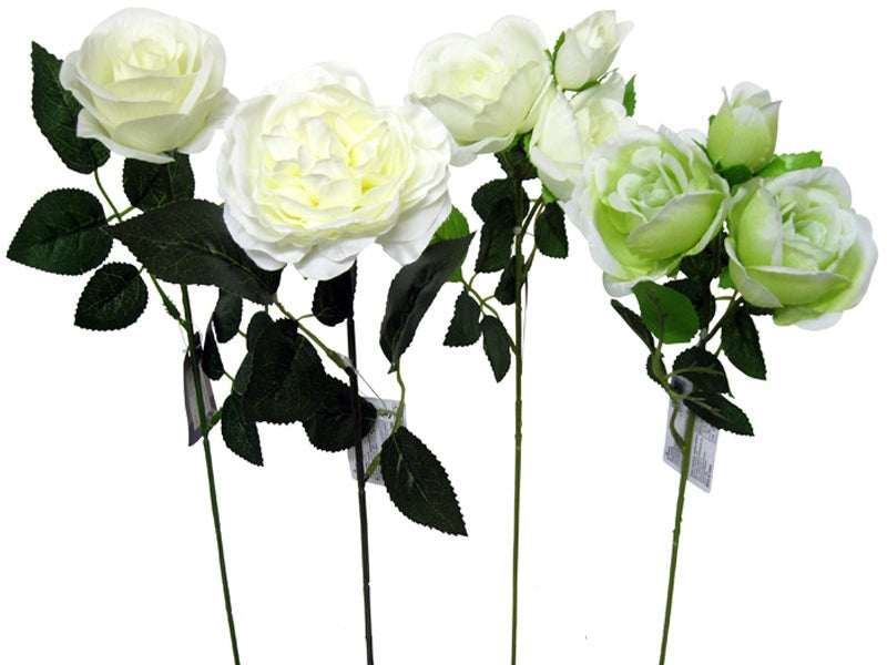 Rose Assortment (Basic W)