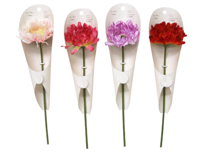 Gerbera (Tierra)