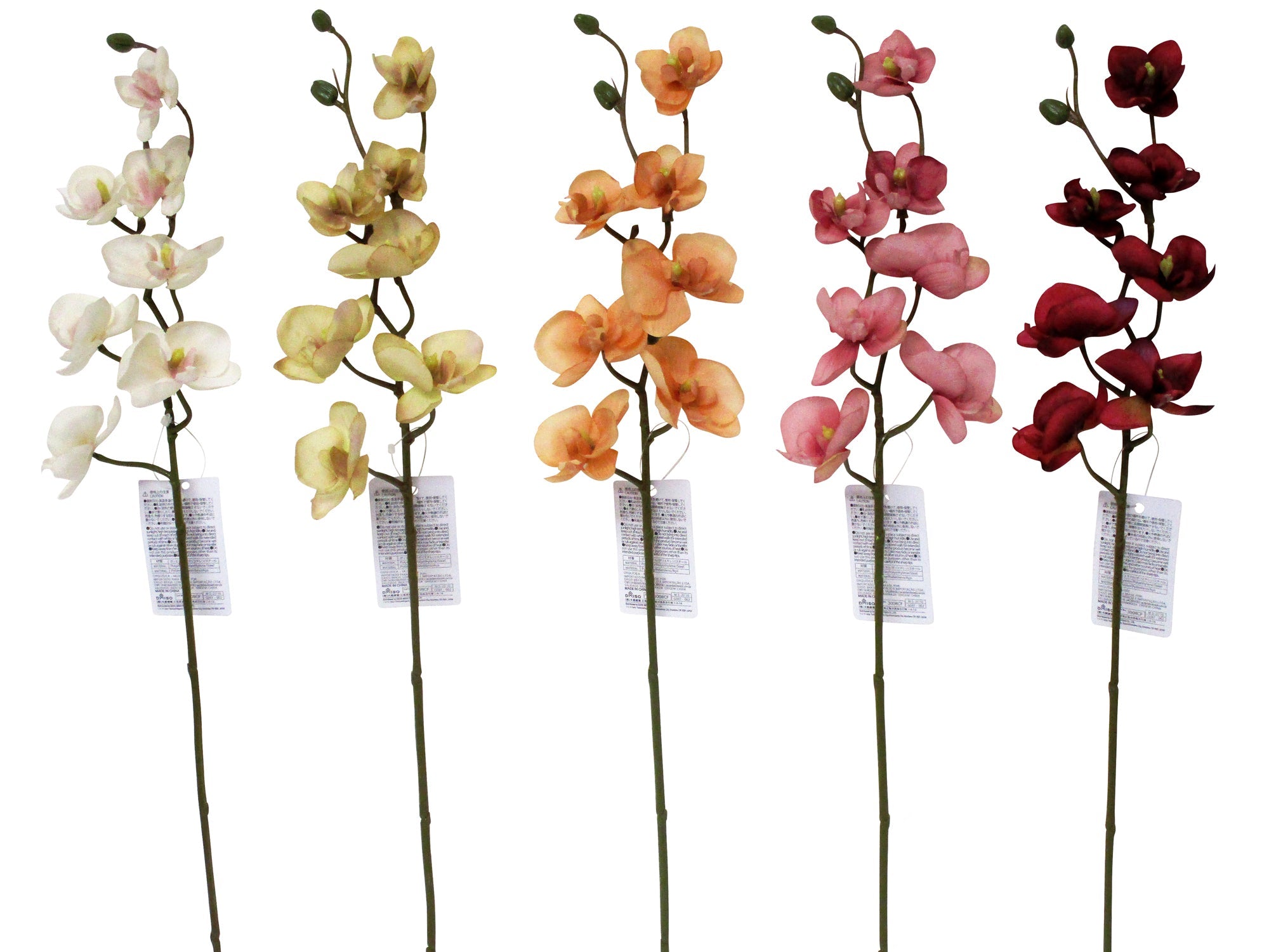 Orchid (Muse)