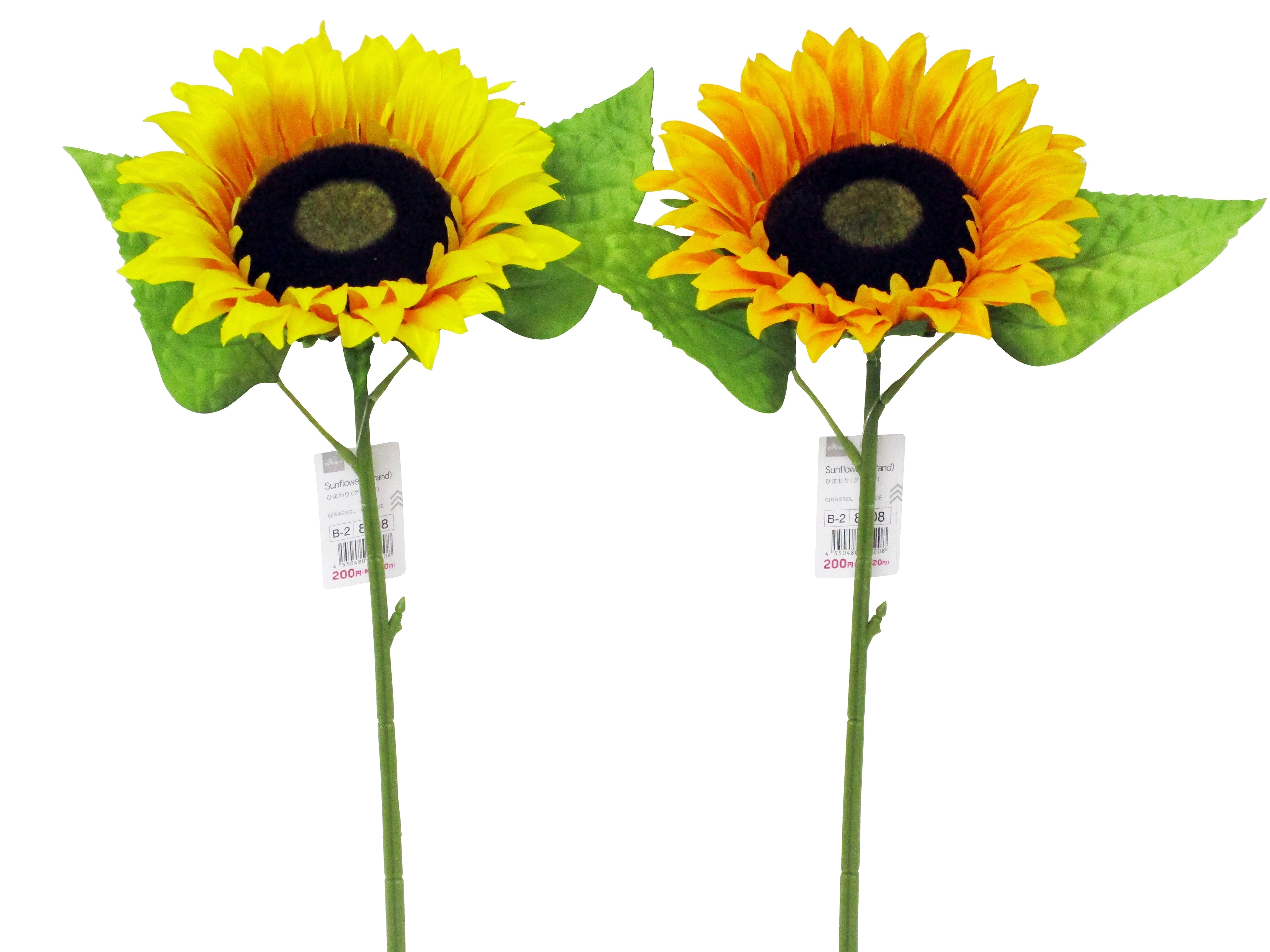 Sunflower (Grande)