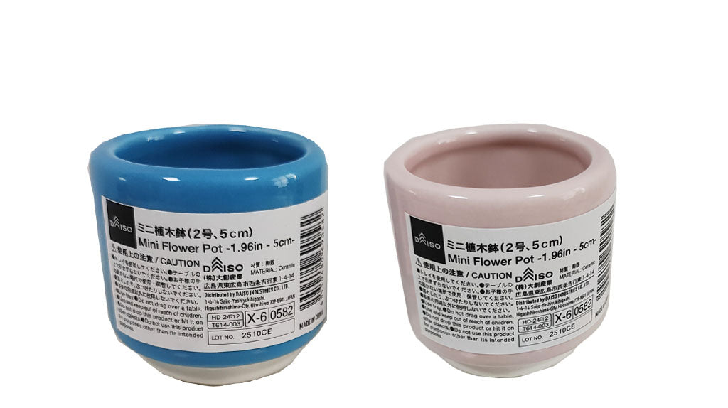 Mini Flower Pot