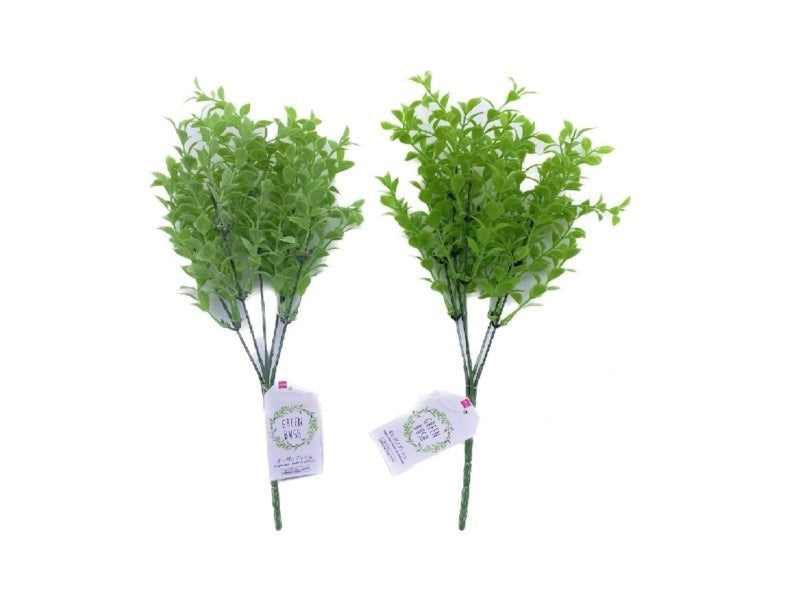 Oregano Bush
