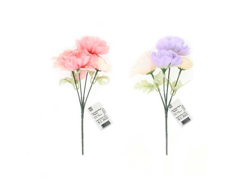 Carnation Bush (Pastel)