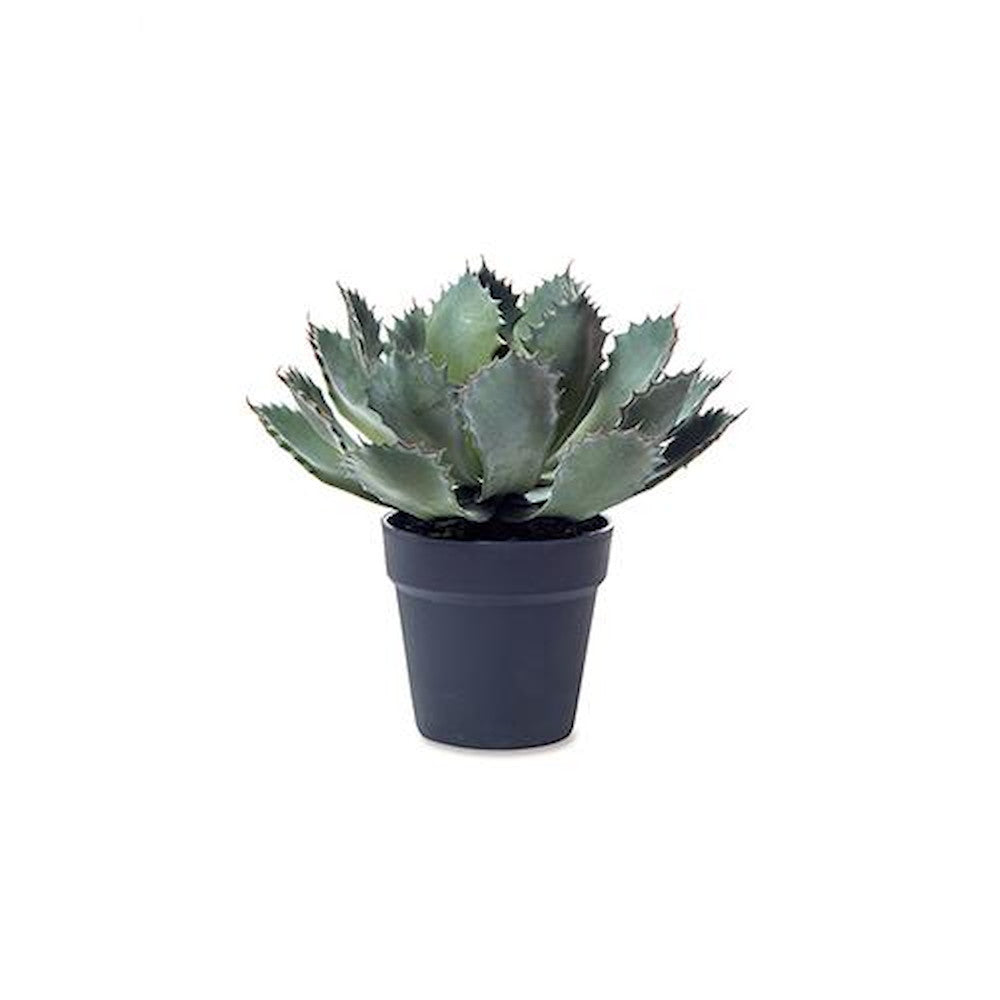 Fake Green Agave 81121