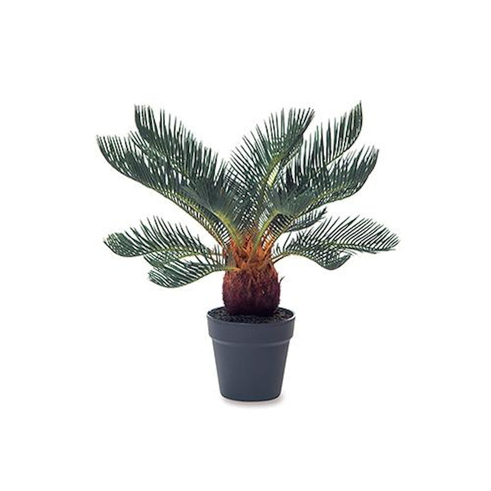 Fake Green Sago Palm 81124