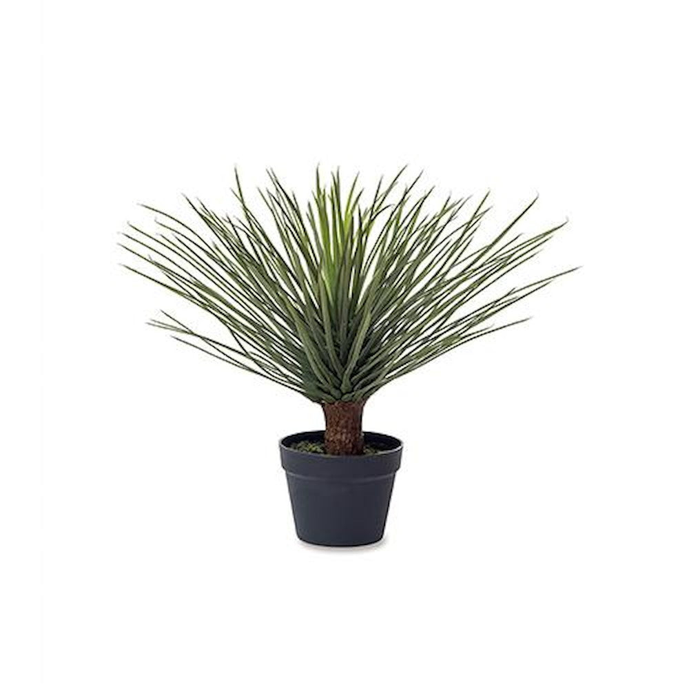 Fake Green Yucca 81125