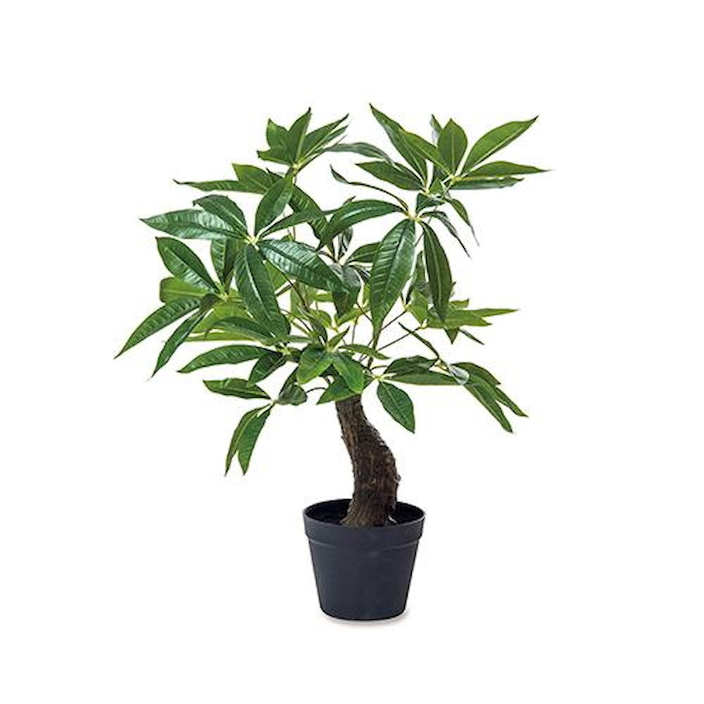Fake Green Pachira 81128