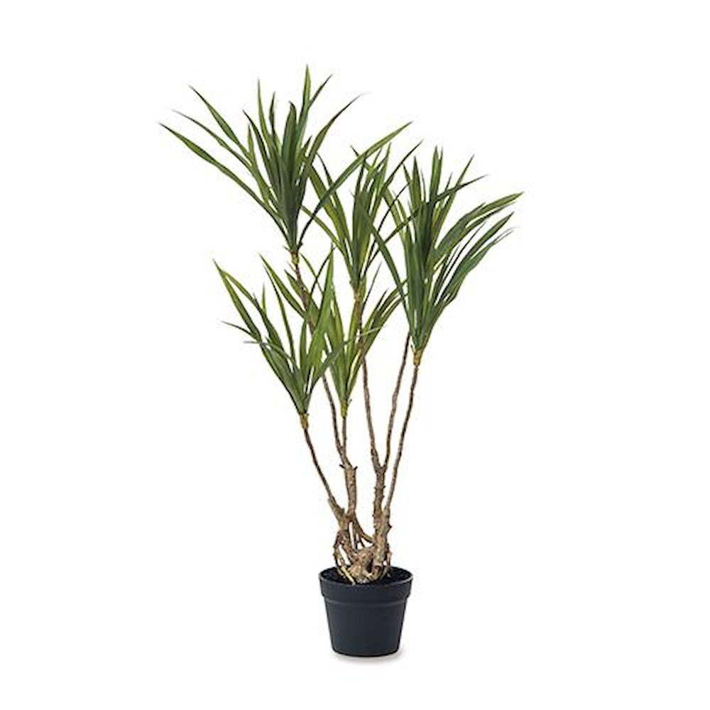 Fake Green Dracaena 81129