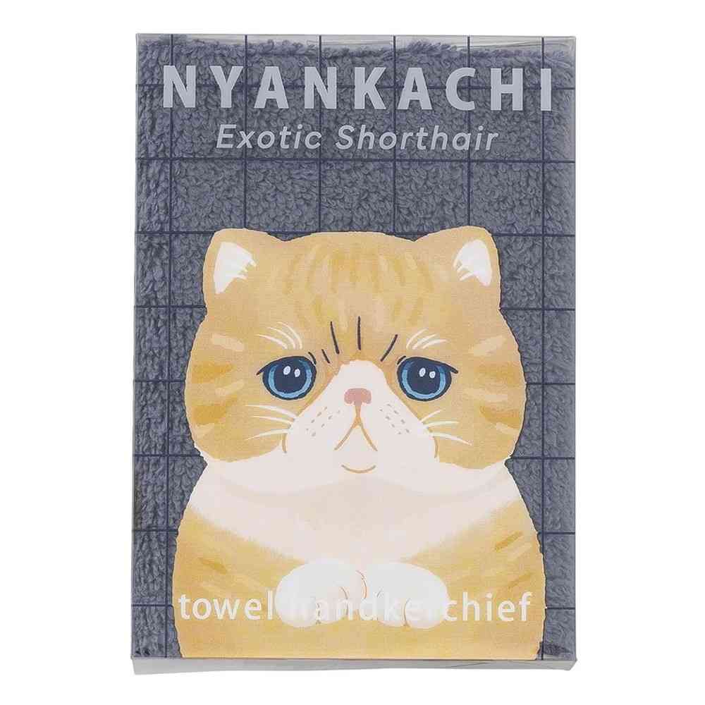 Ribuhato Handkerchief Towel Exotic Shorthair