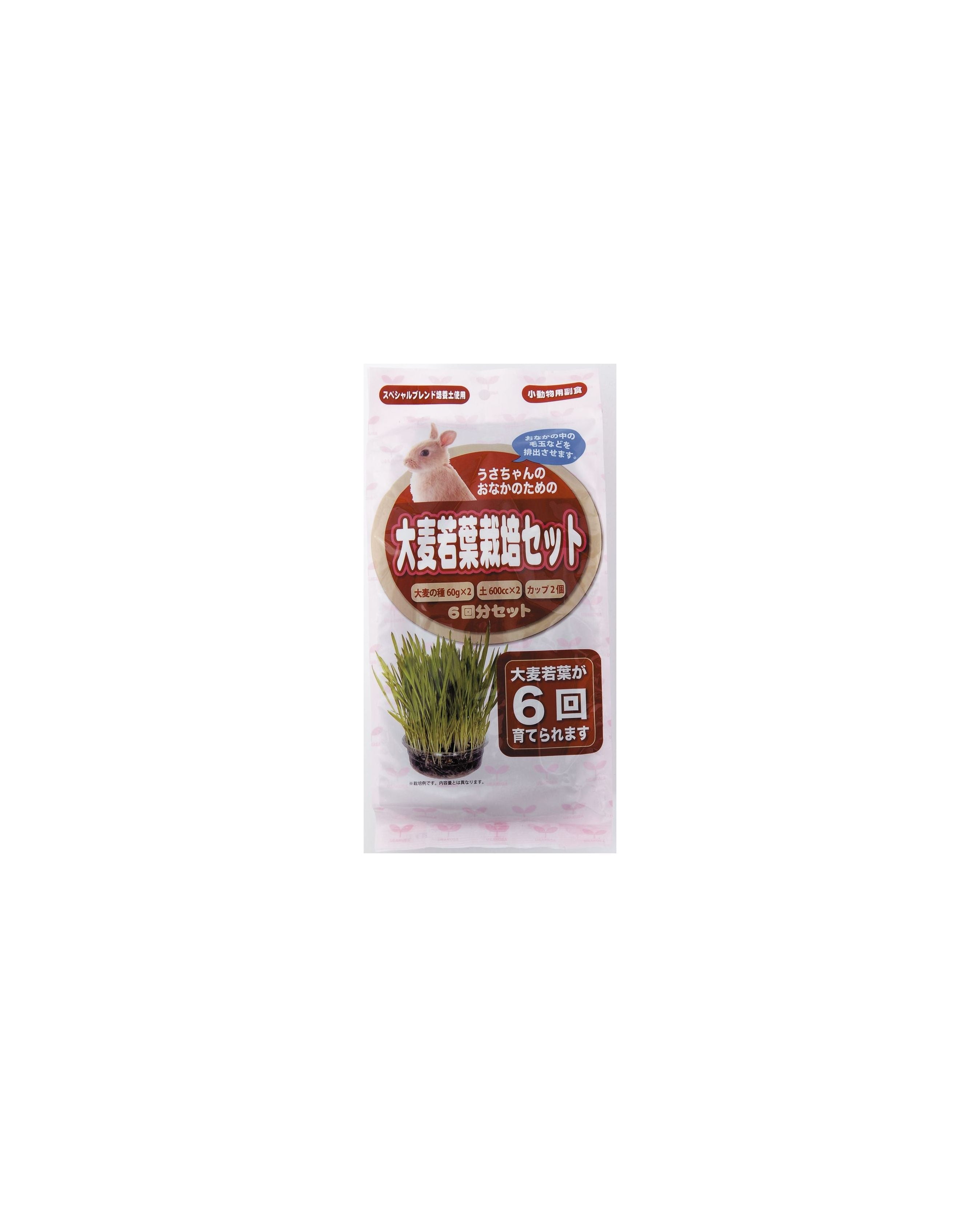 Arata Rabbit Barley Growing Set 6 servings