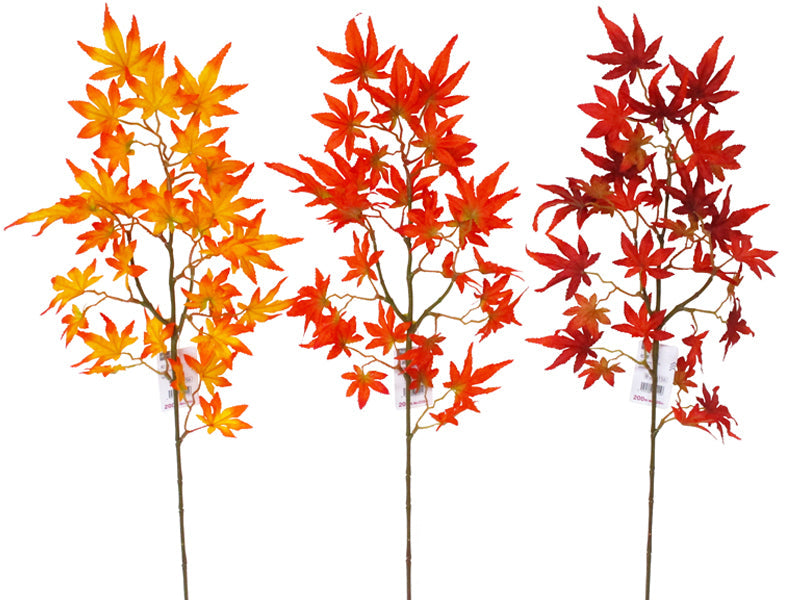 Autumn Leaves