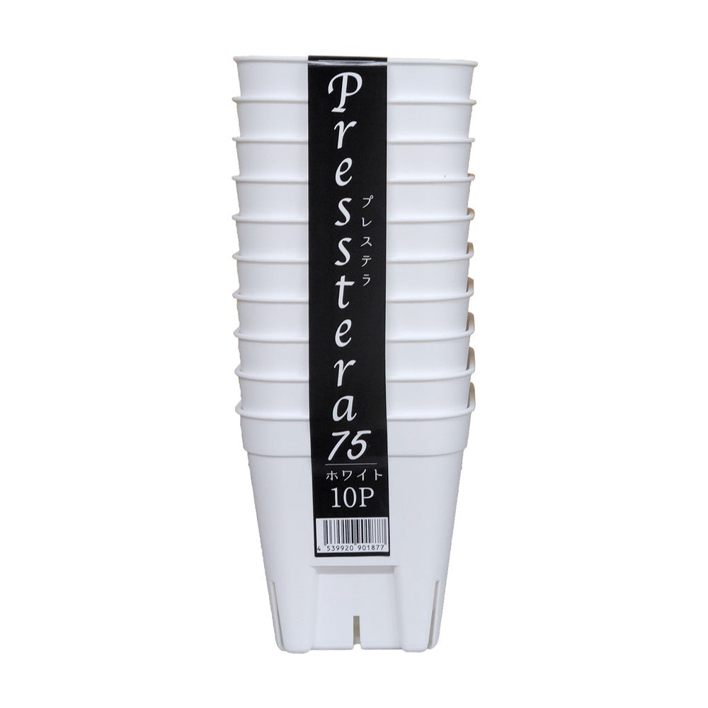 Appleware Prestera 75 Type White 10-Pack