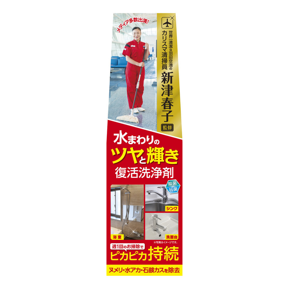 Aion (Haruko Niitsu) Water Area Shine and Luster Restoration Cleaner