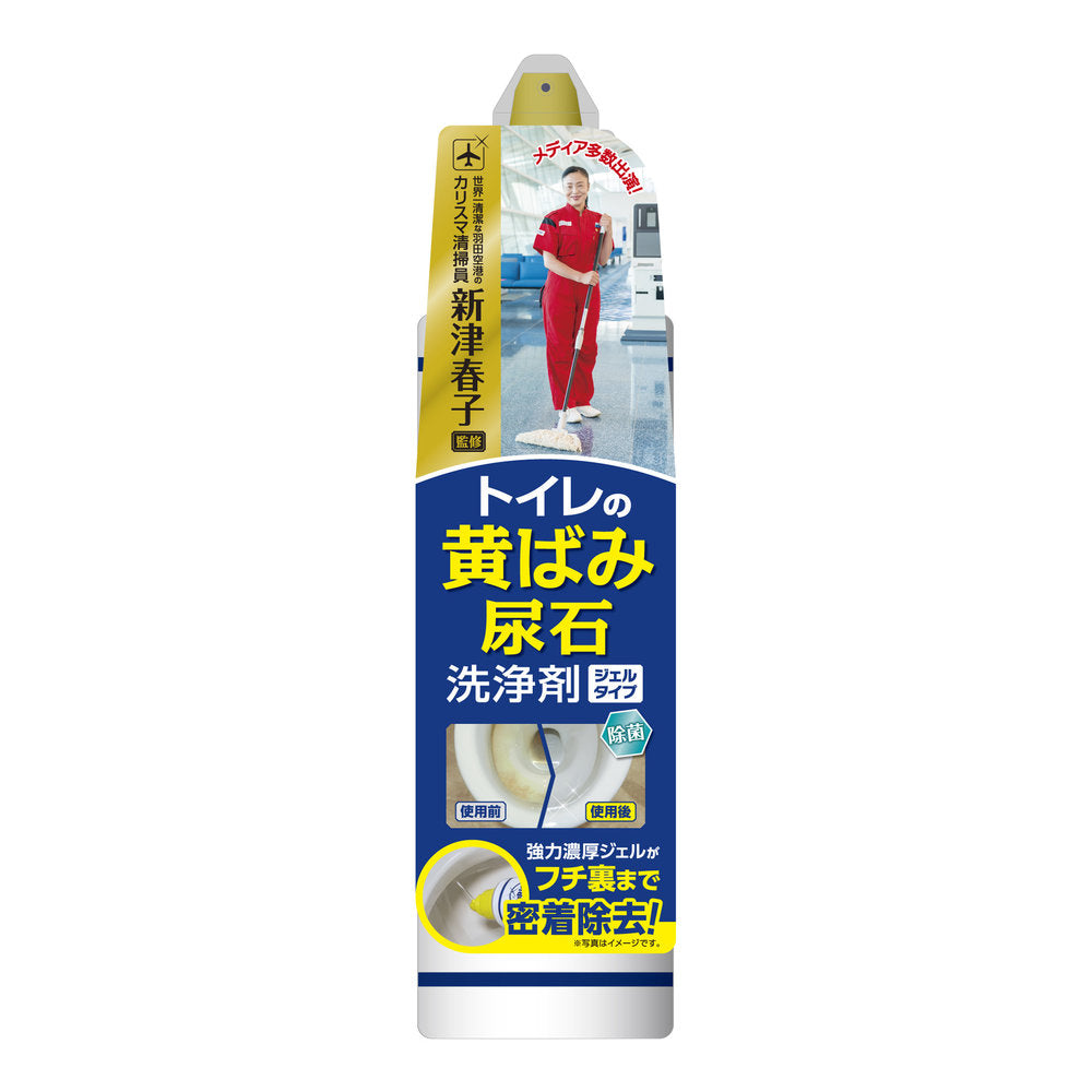Aion (Haruko Niitsu) Toilet Stain and Urine Scale Cleaner Gel Type