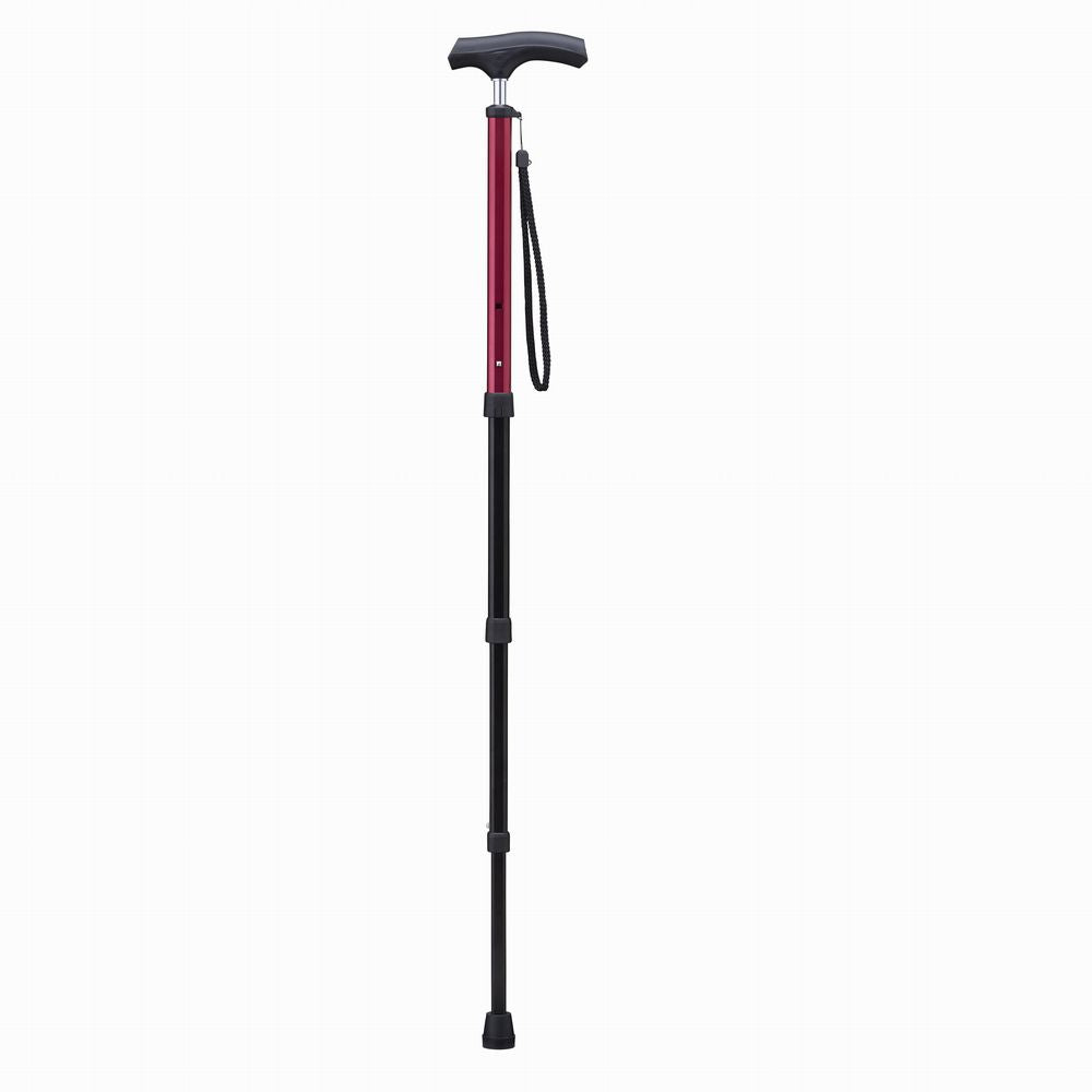 Aizō Pocket Stick PS-2