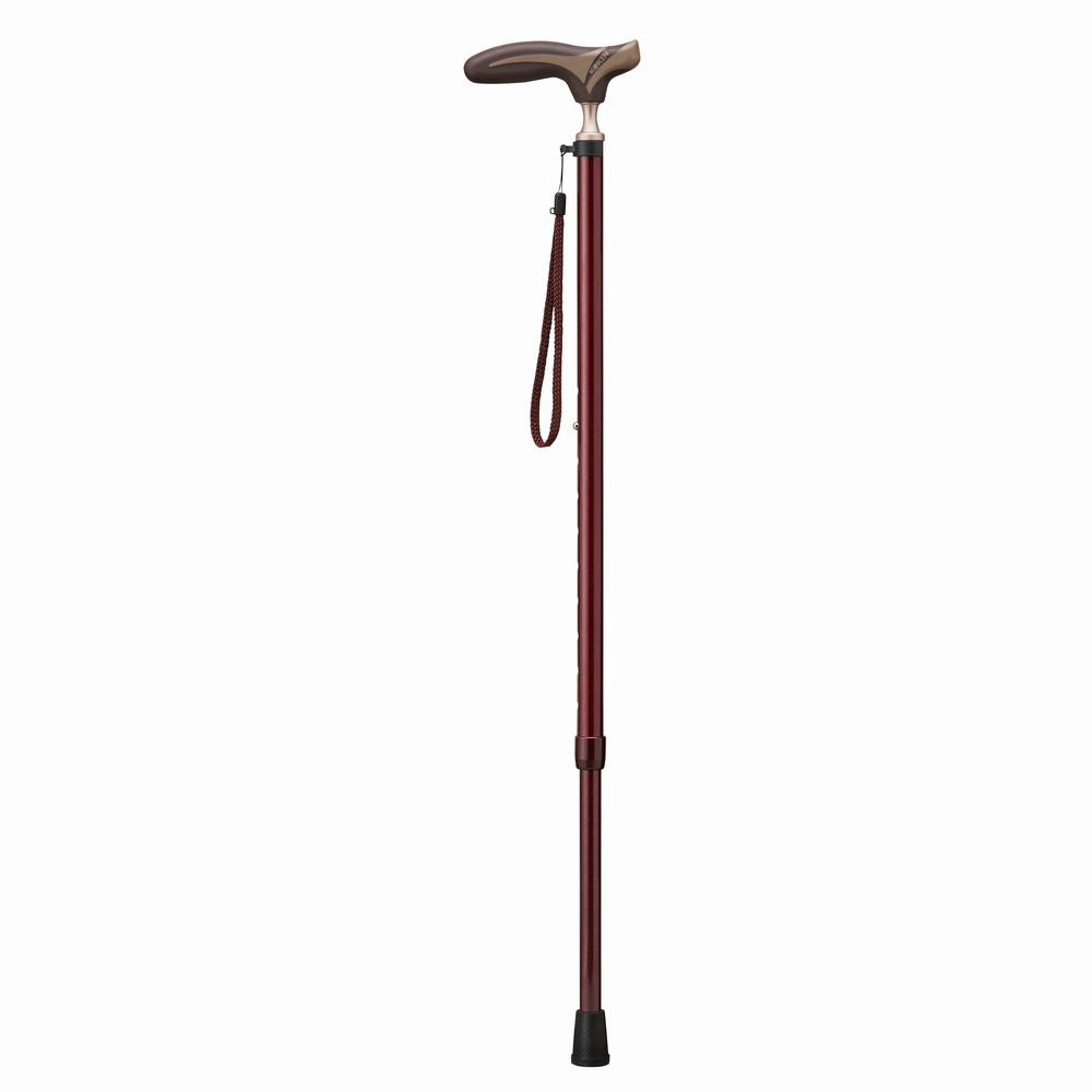 Antibacterial Grip Folding Cane EK-81