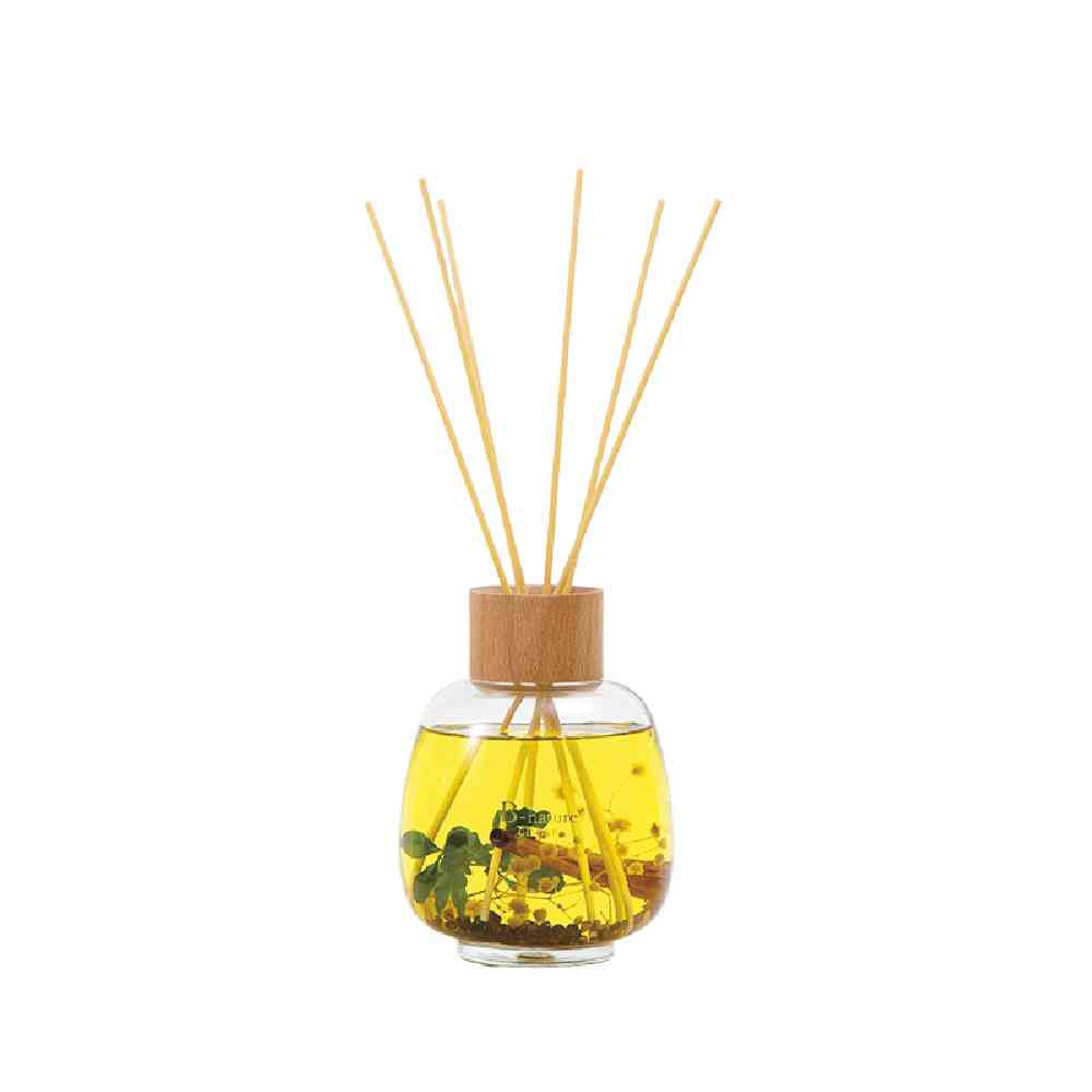 Fuji E B-nature Reed Diffuser Ginger BN-022 530ml
