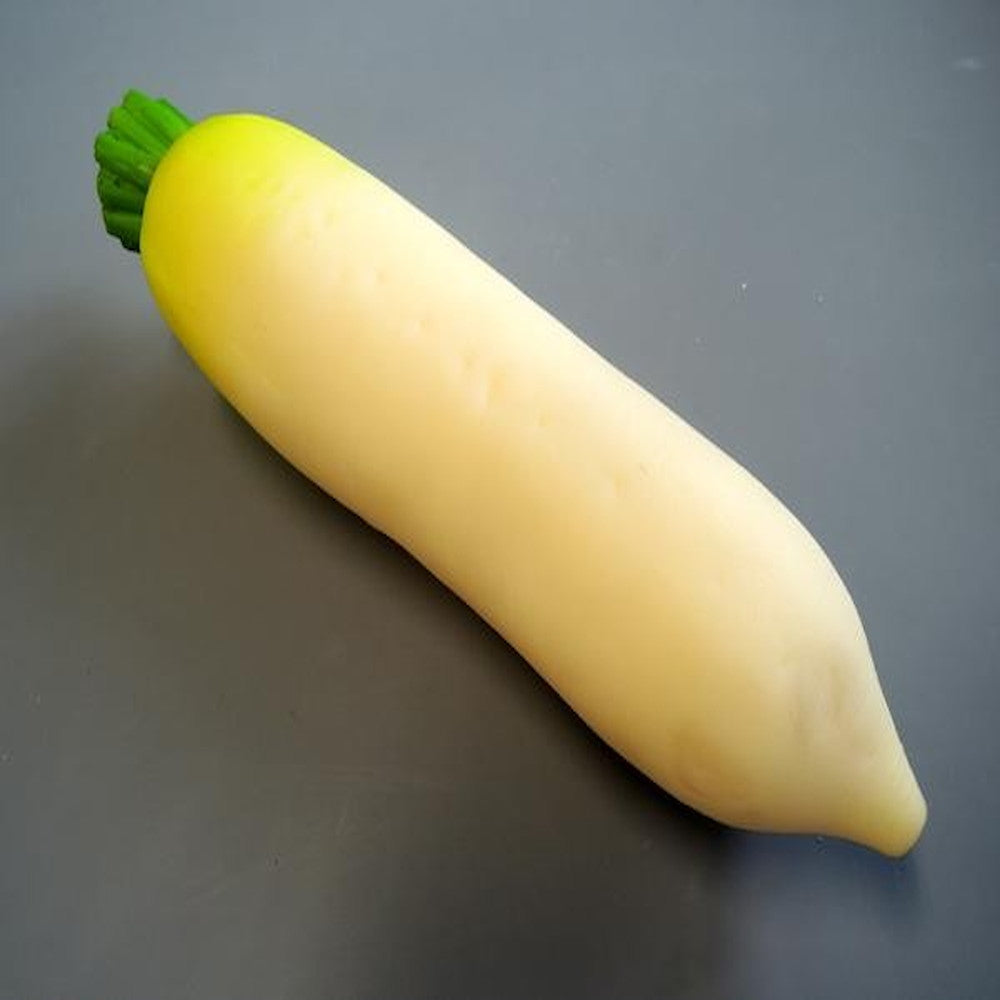 Food Sample Daikon IP-364