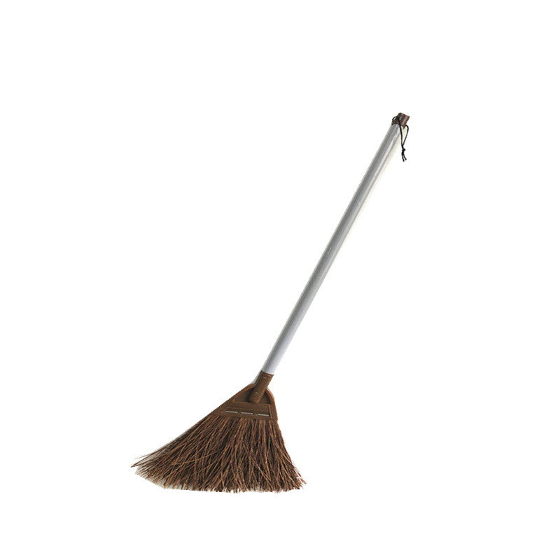 Household Fern Broom