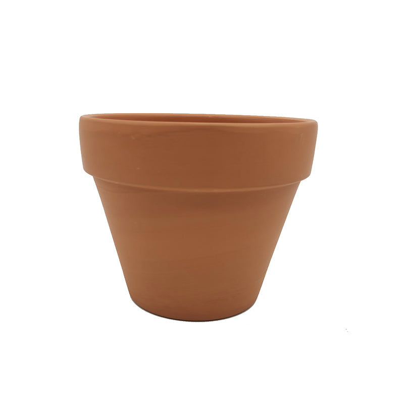Terracotta Plant Pot