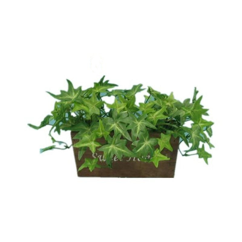 Wood Planter Ivy