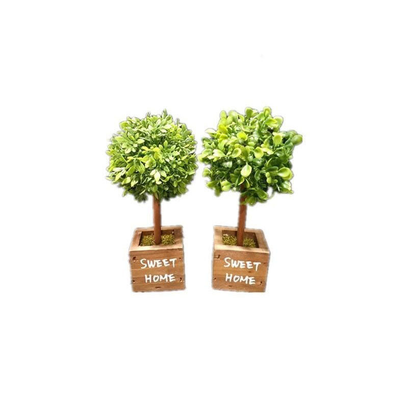 Green Pot (Wooden Pot)