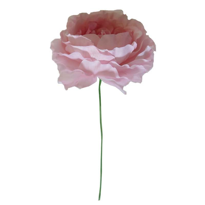 Ranunculus Pick (2 Flowers)