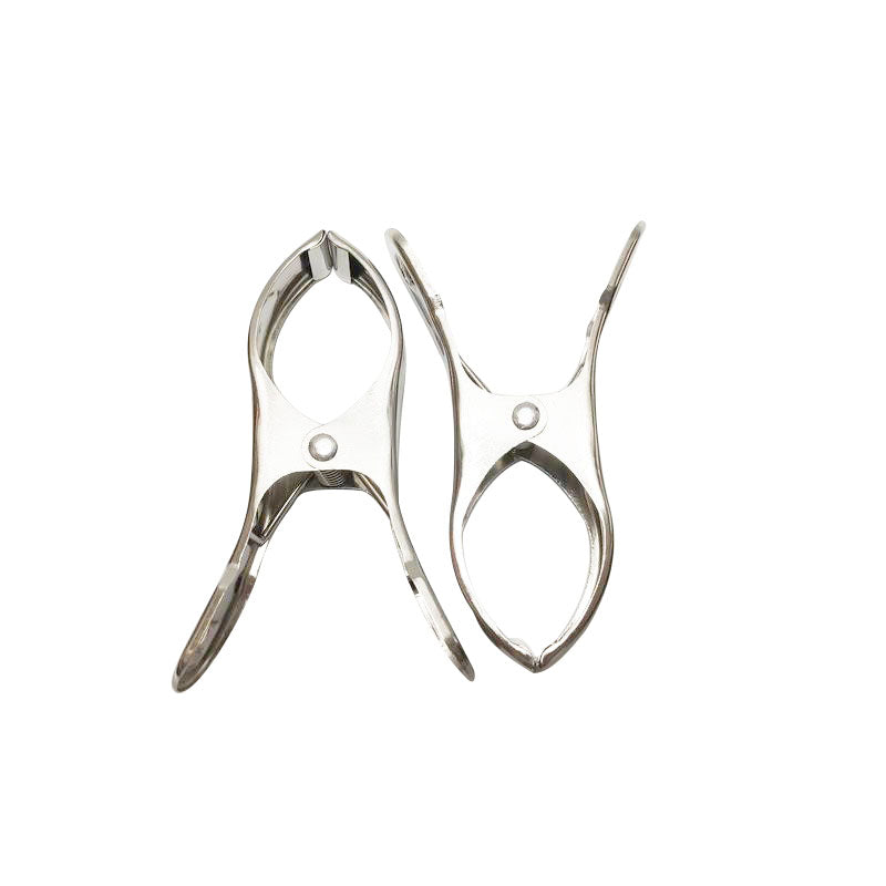 Stainless Steel Clips (2 Pieces)