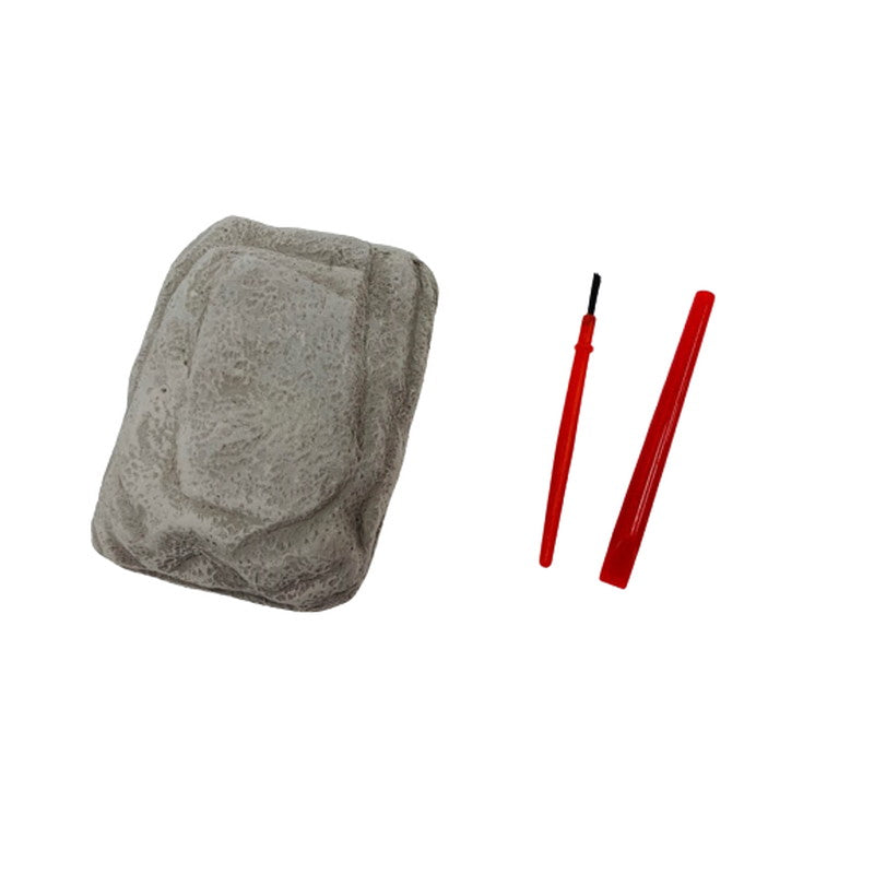 Dinosaur Fossil Toy