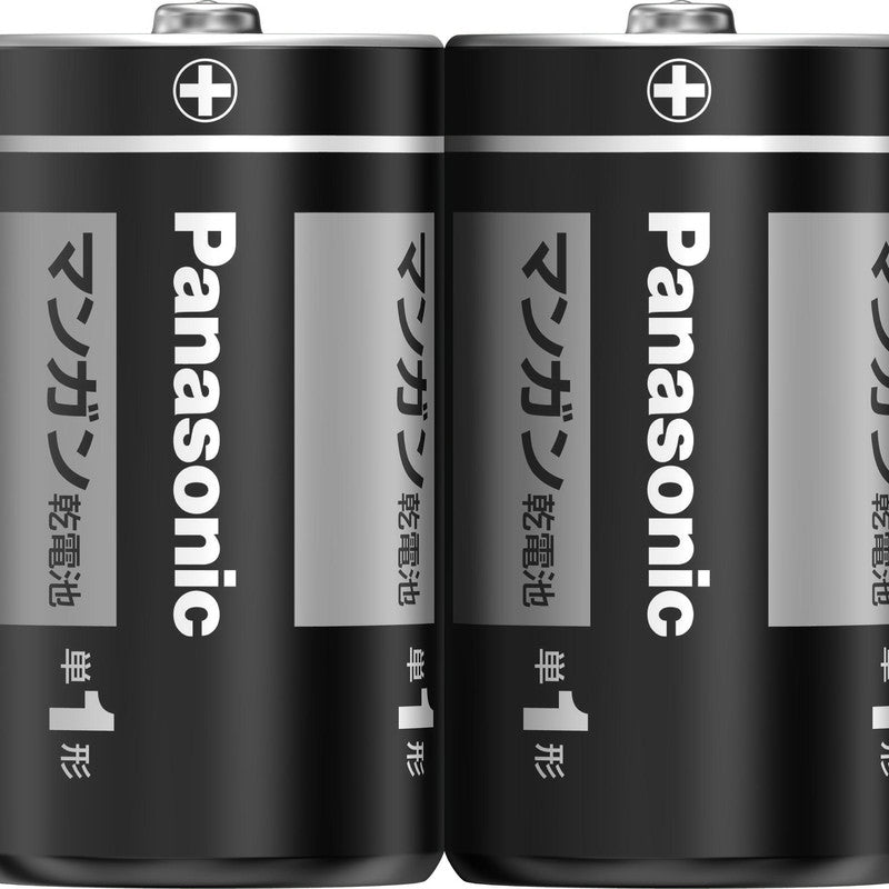 Panasonic Manganese Battery Type D (2 Pack)