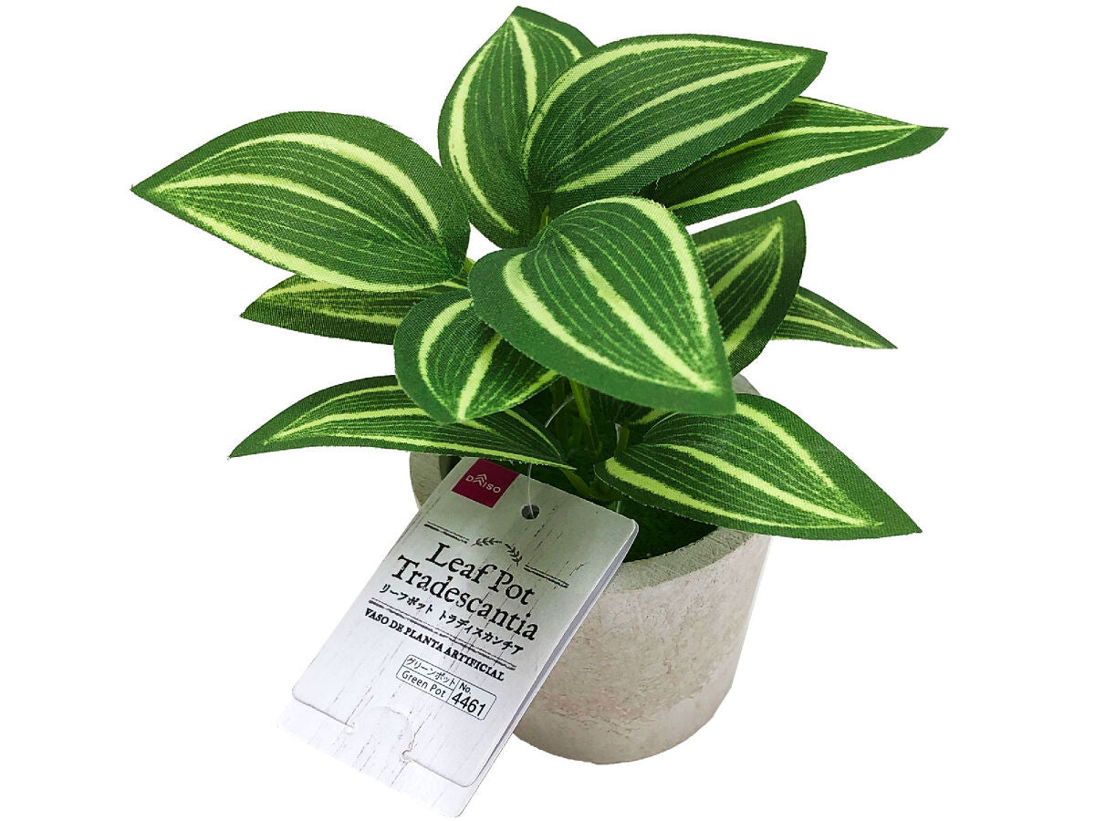 Leaf Pot (Tradescantia)