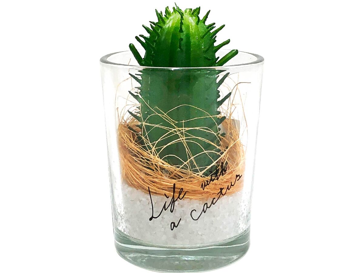 Cactus Pot (Hashira)