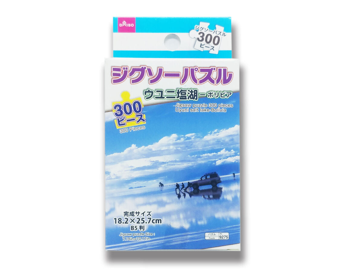 Jigsaw Puzzle (300 Pieces, Salar de Uyuni)