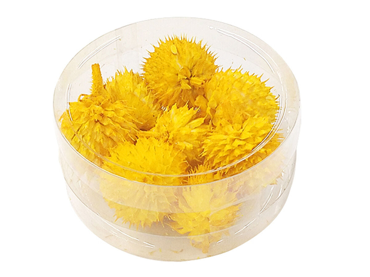 Dried Flower Parts (Chisel, Yellow)