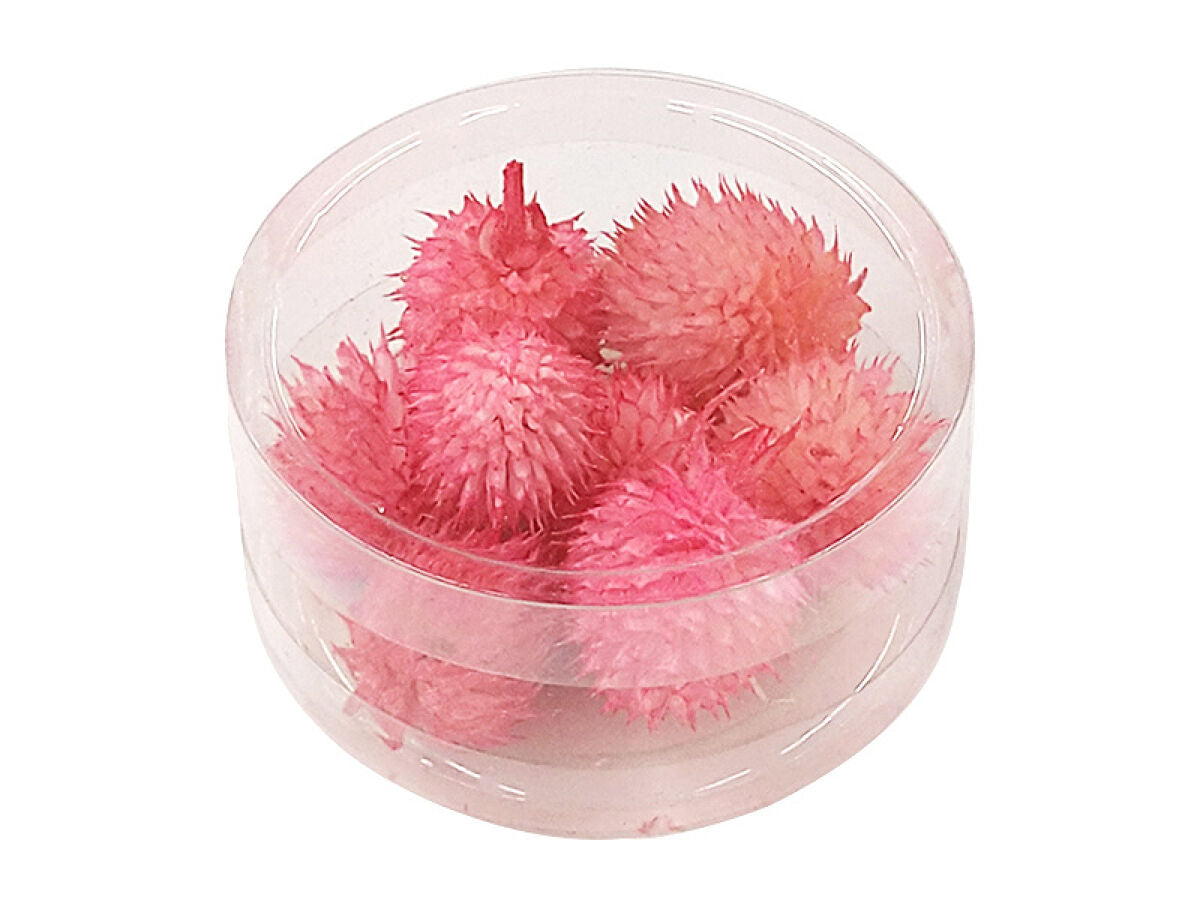 Dried Flower Parts (Chisel, Pink)