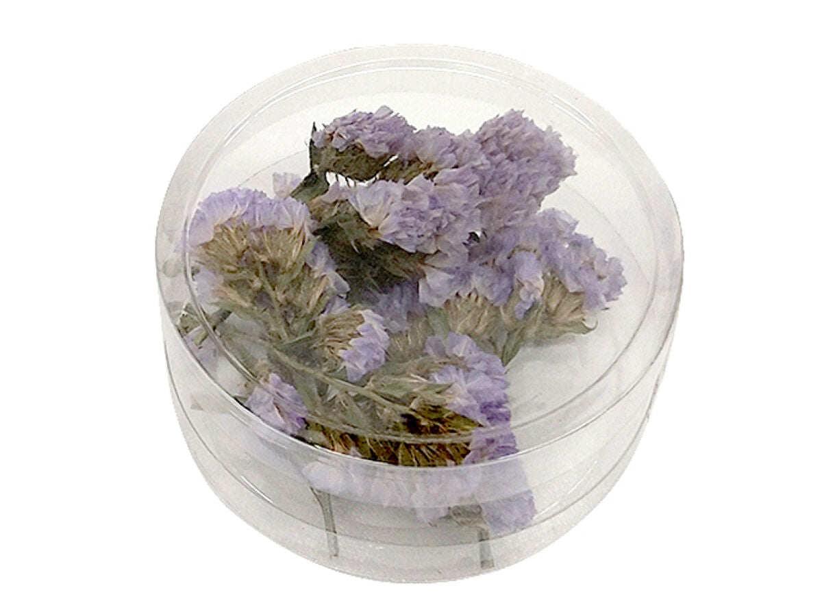 Dried Flower Parts (Statice, Light Purple)