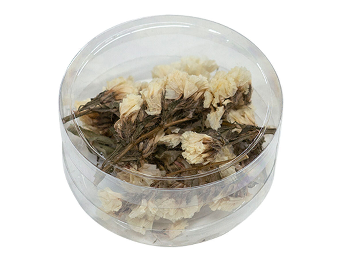 Dried Flower Parts (Statice, White)