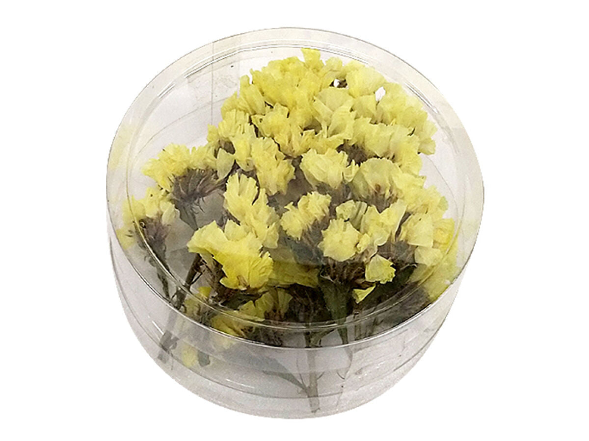 Dried Flower Parts (Statice, Yellow)