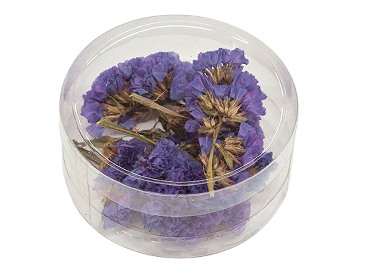 Dried Flower Parts (Statice, Purple)
