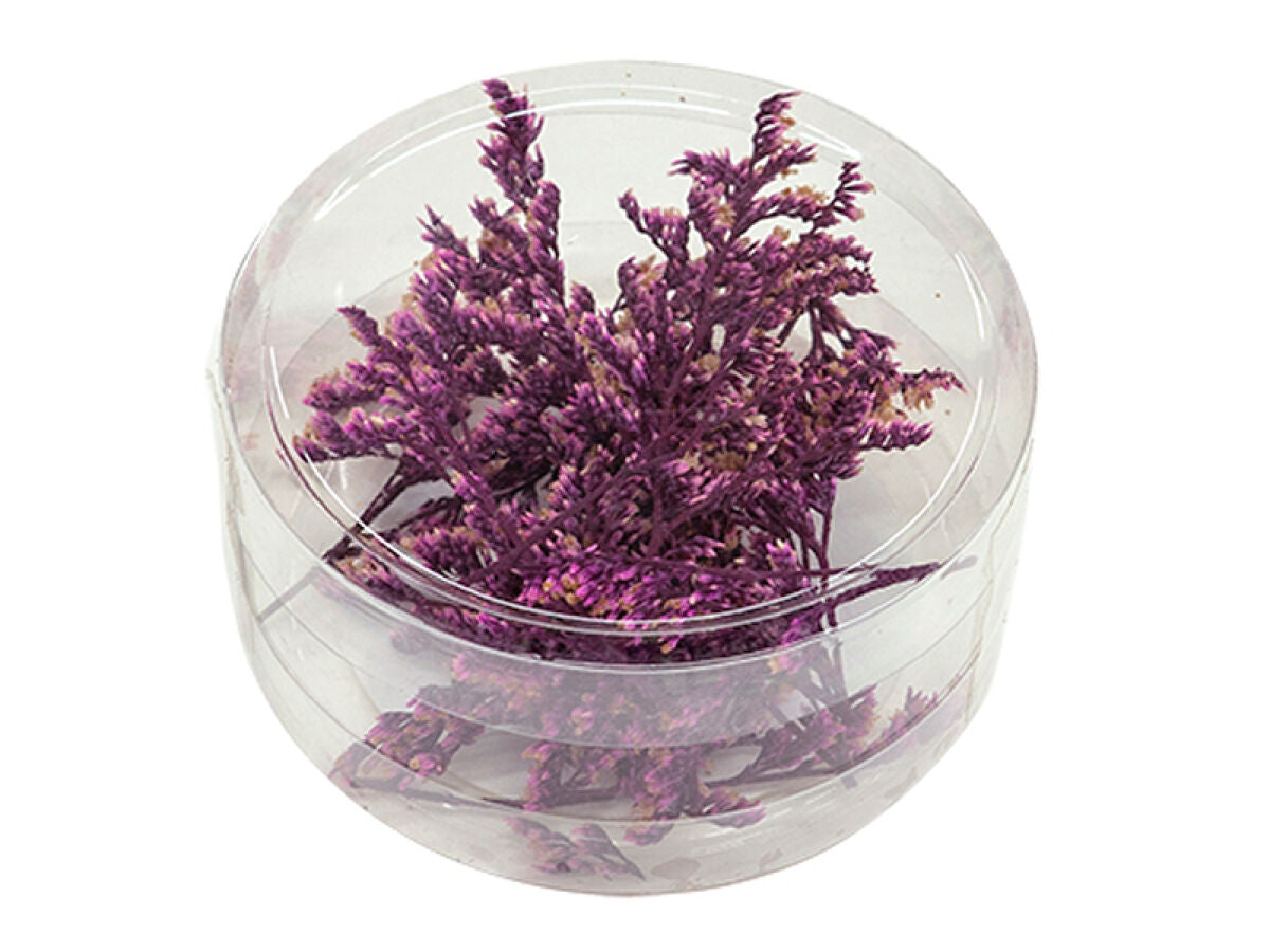 Dried Flower Parts (Caspia, Purple)