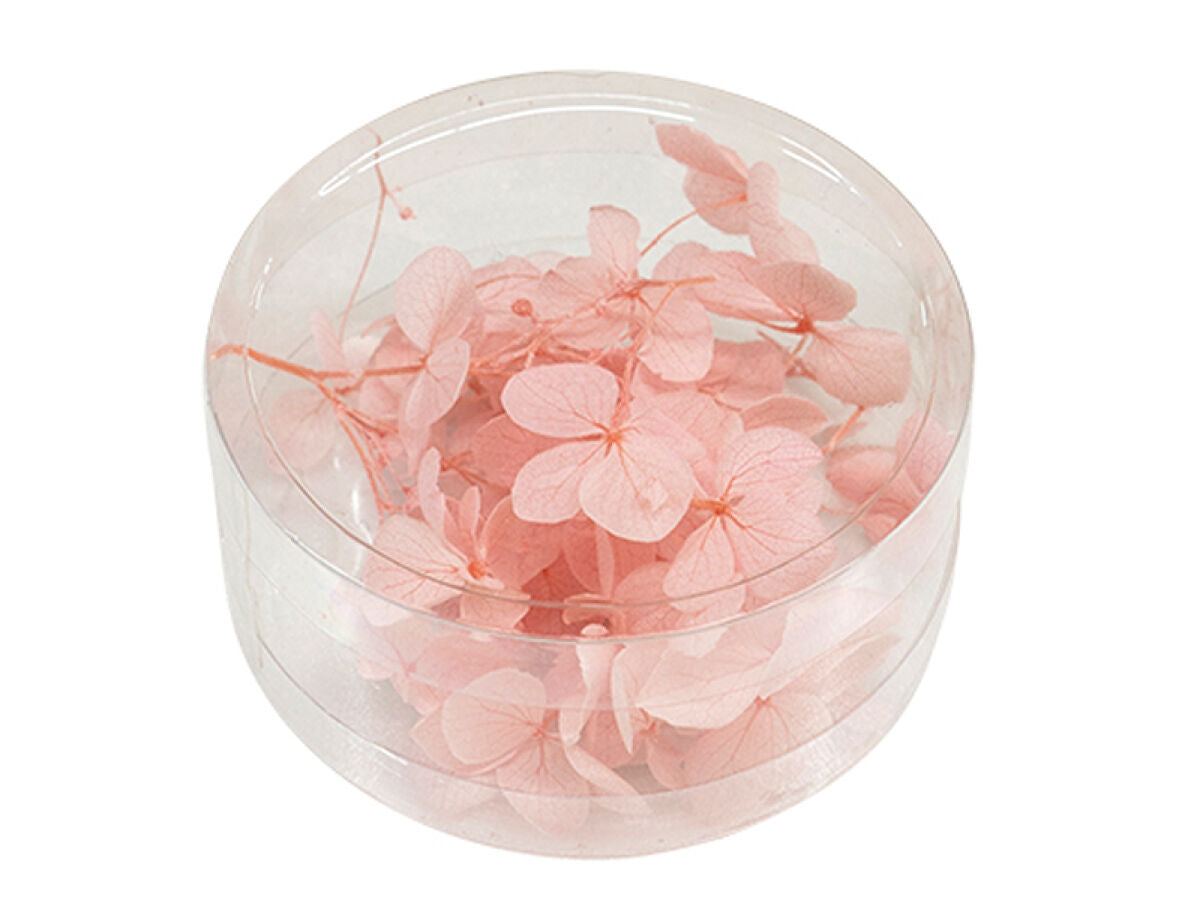 Dried Flower Parts (Hydrangea, Light Pink)
